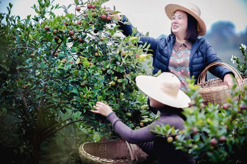 微信图片_2025-10-29_212350_780