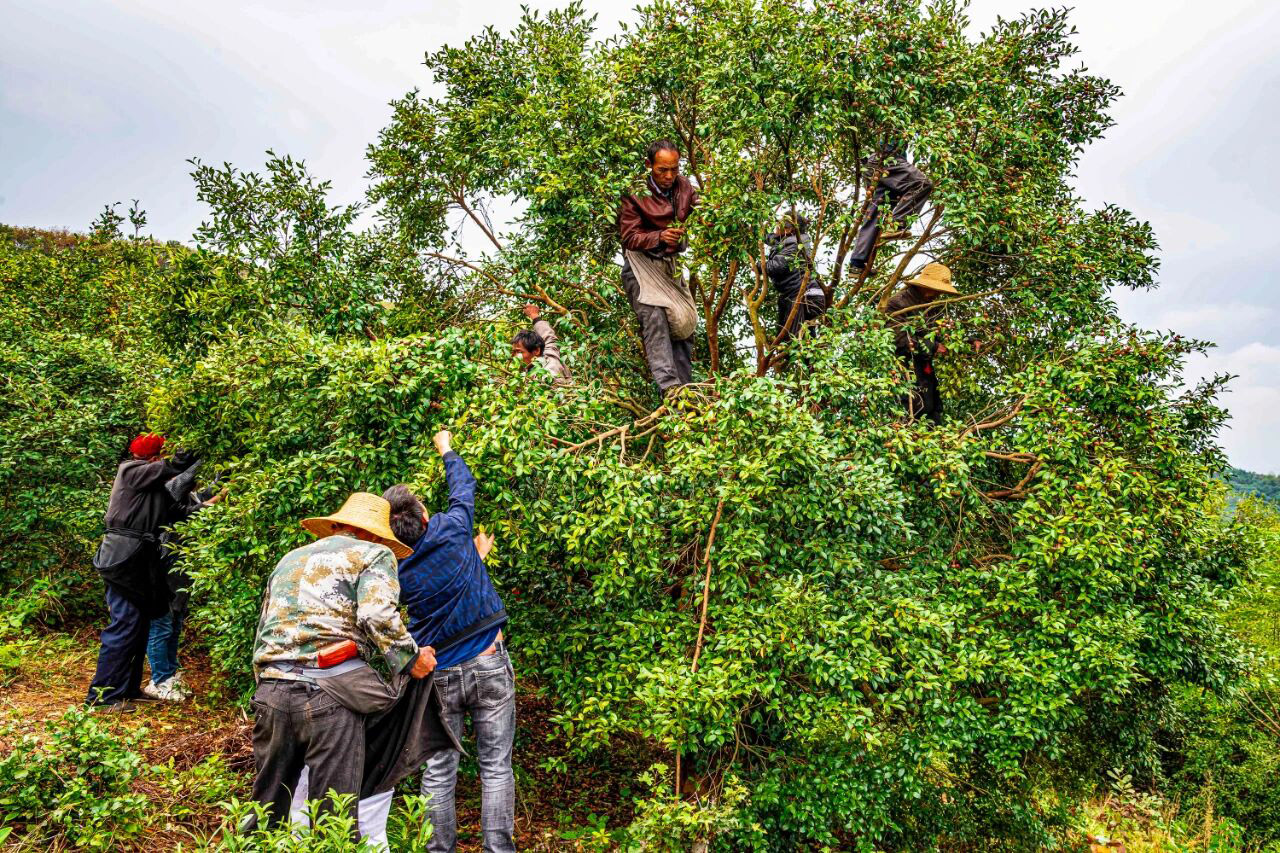 微信图片_2025-10-29_212412_861